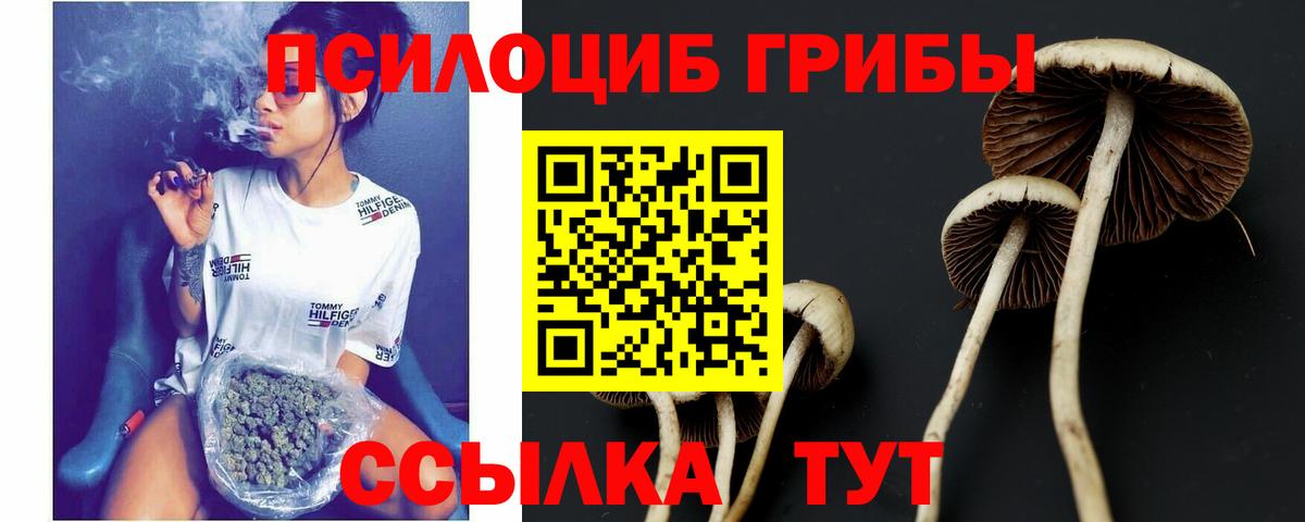 Сертолово  Галлюциногенные грибы мухоморы  Псилоцибиновые грибы прущие грибы  Вход с VPN 